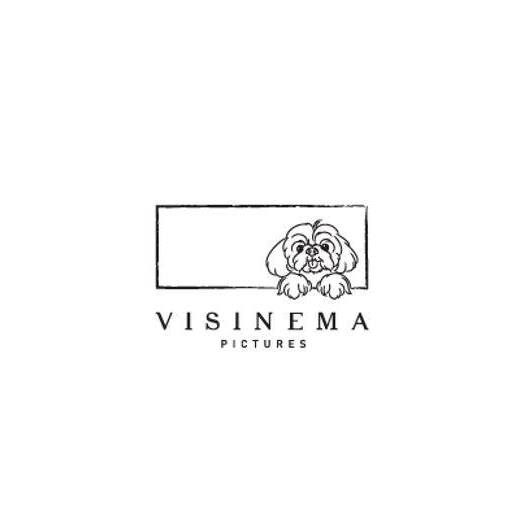 PT Visinema Pictures