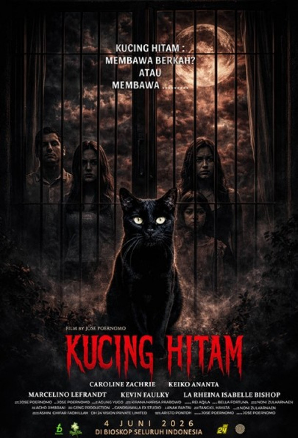 Kucing Hitam
